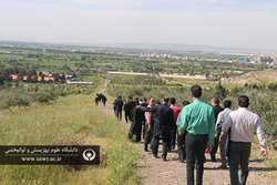 اجرای برنامه پیاده روی به مناسبت هفته سلامت در مرکز روانپزشکی رازی